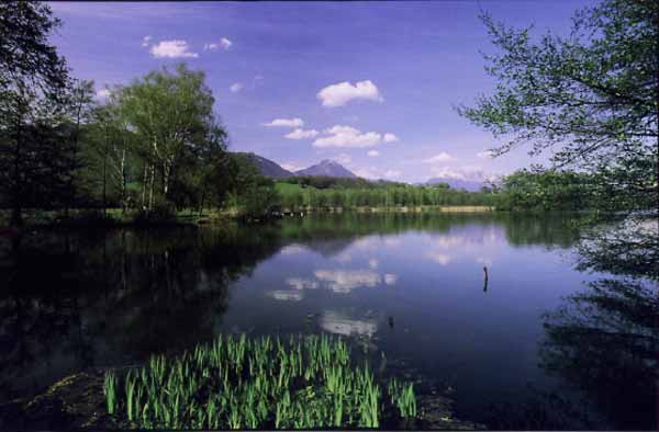 Le lac en images